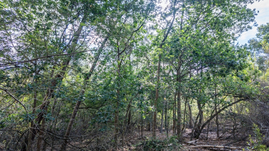 Commercial Property for Sale in Sedgefield Rural Western Cape